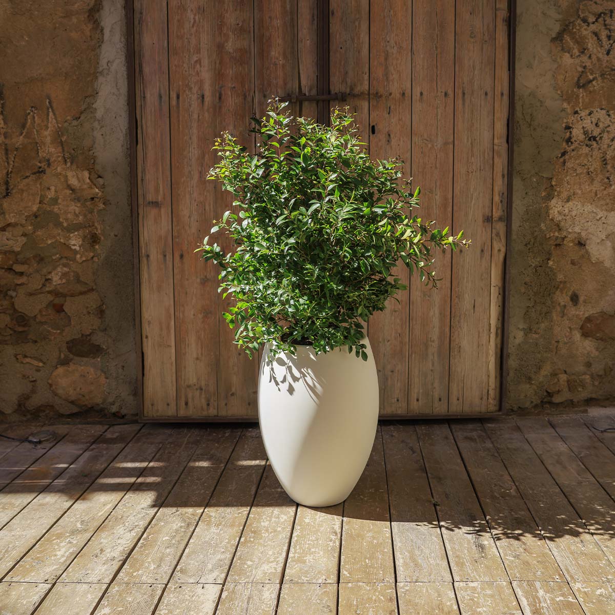 POT DE FLEURS ROND ALOE 55 - Image 15