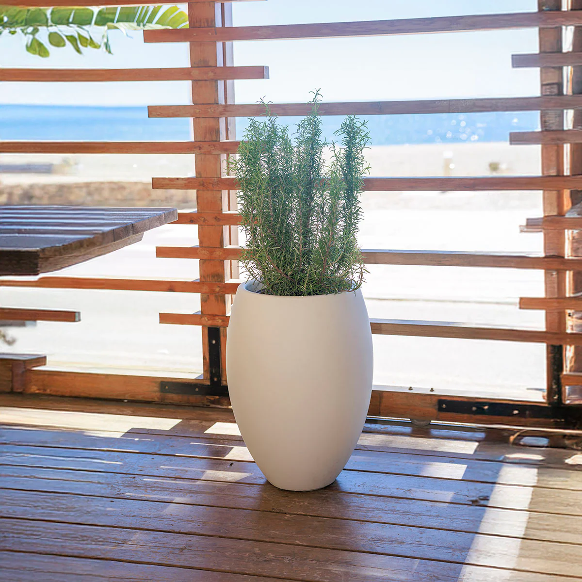 POT DE FLEURS ROND ALOE 55 - Image 16