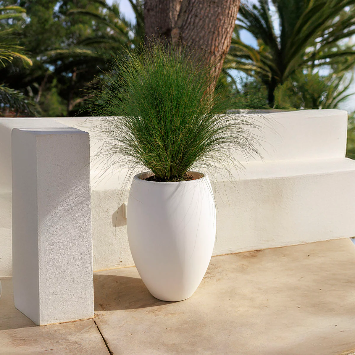POT DE FLEURS ROND ALOE 45 - Image 2