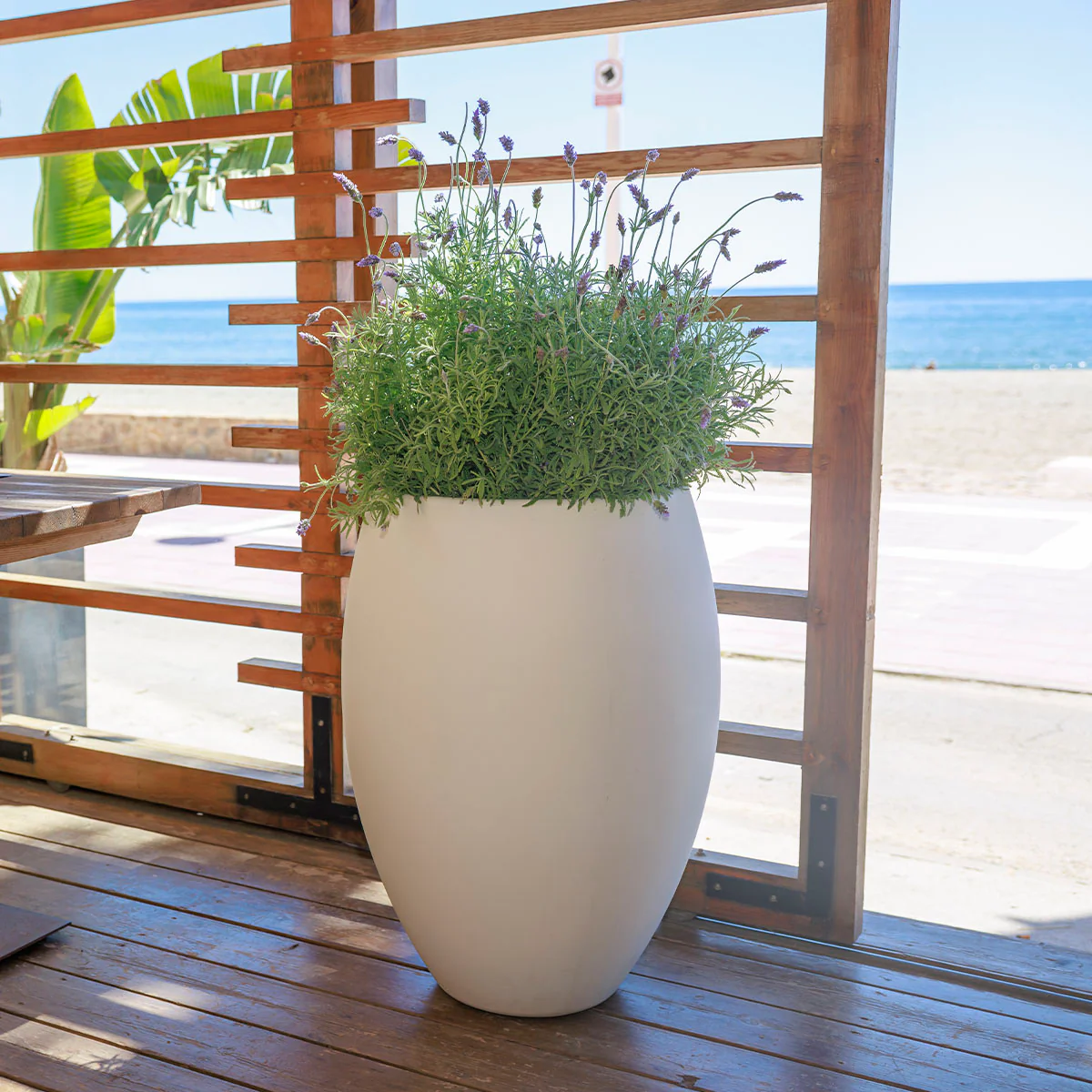 POT DE FLEURS ROND ALOE 55 - Image 3