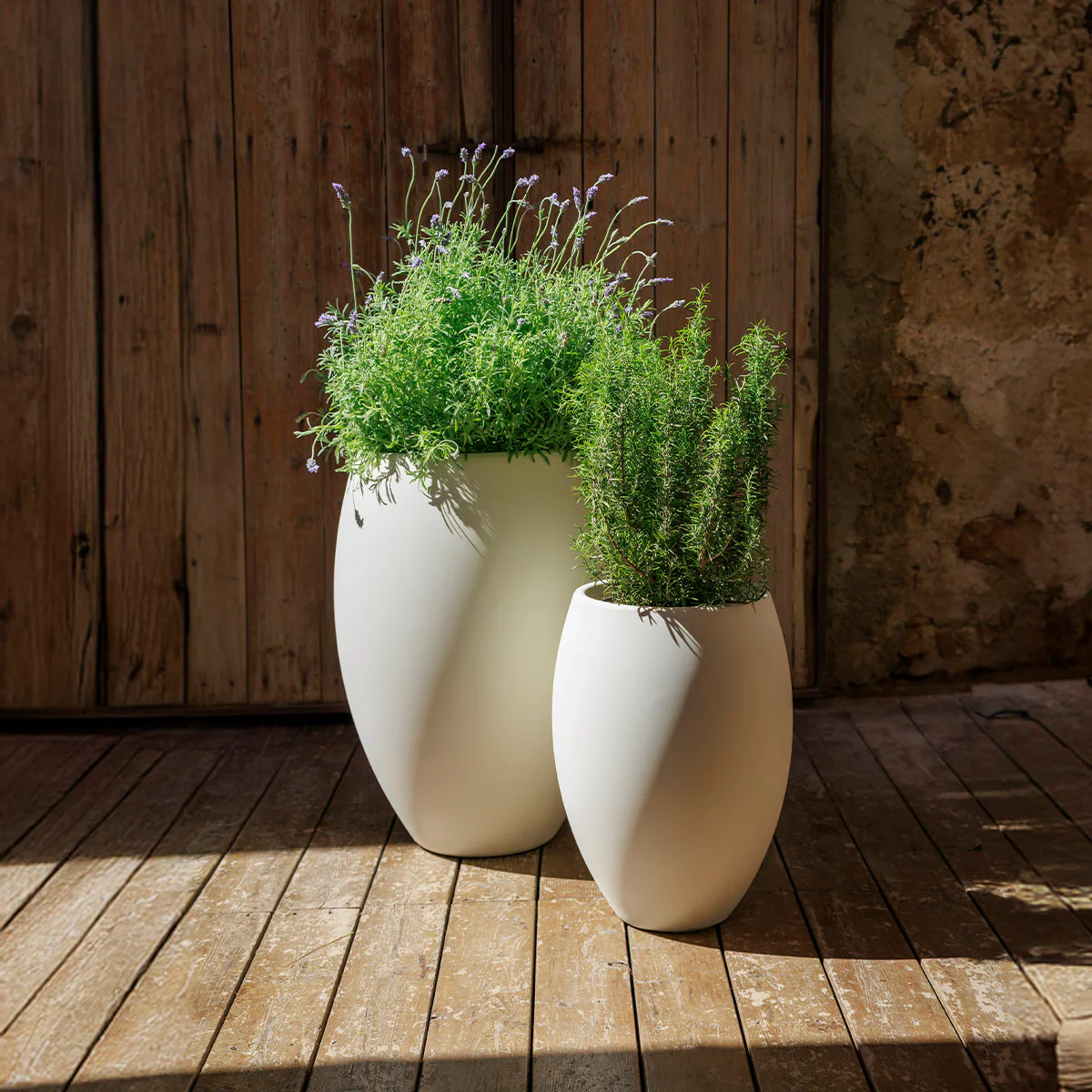 POT DE FLEURS ROND ALOE 55 - Image 5