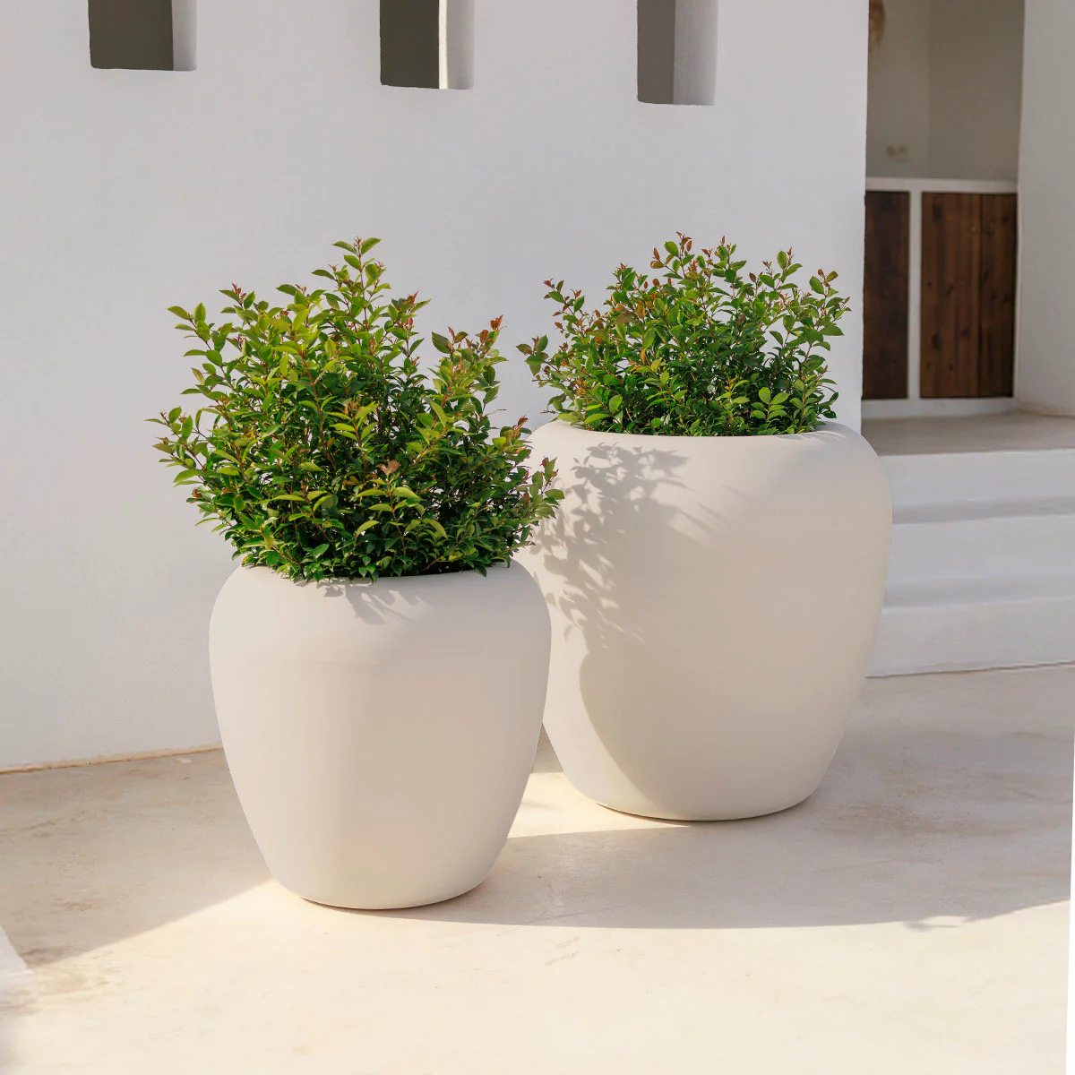 POT DE FLEURS ROND ARECA 60 - Image 12