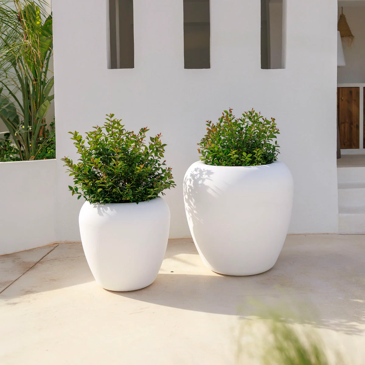 POT DE FLEURS ROND ARECA 60 - Image 3