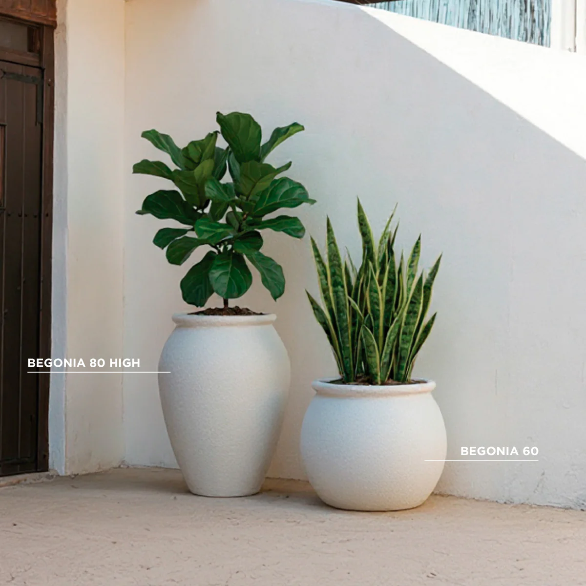 POT DE FLEURS ROND BEGONIA 60 - Image 11