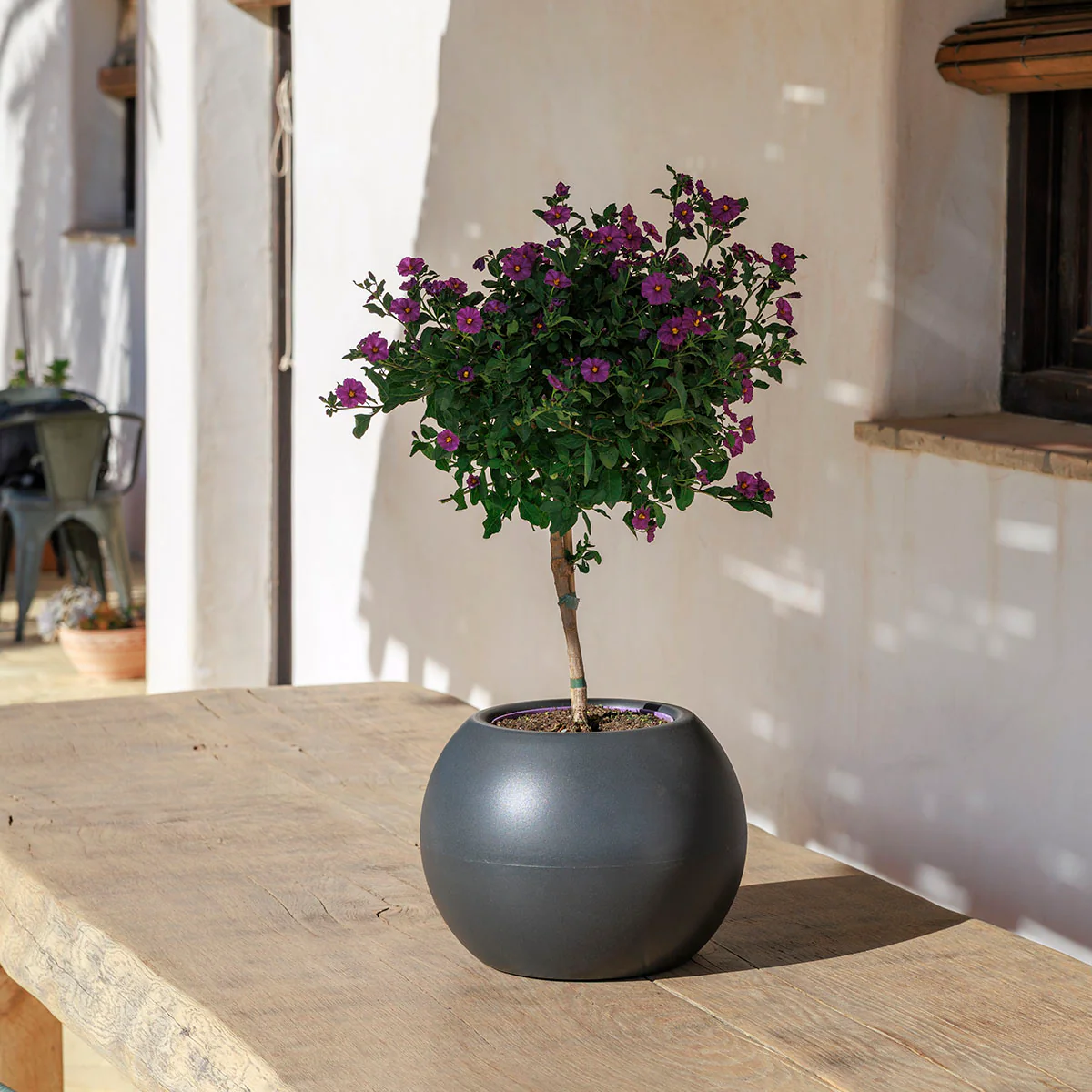 POT DE FLEURS ROND DALIA 30 - Image 20