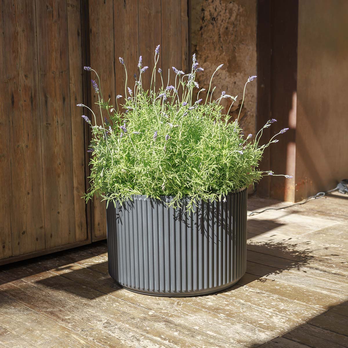 POT DE FLEURS ROND MARANTA 30 x 40 - Image 16