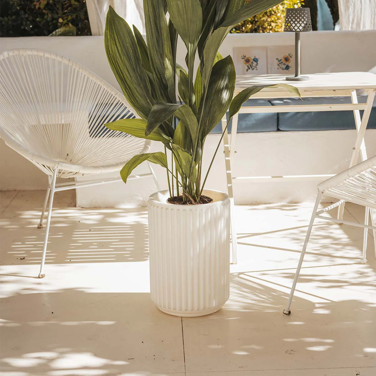 POT DE FLEURS ROND MARANTA 30 x 40 - Image 5