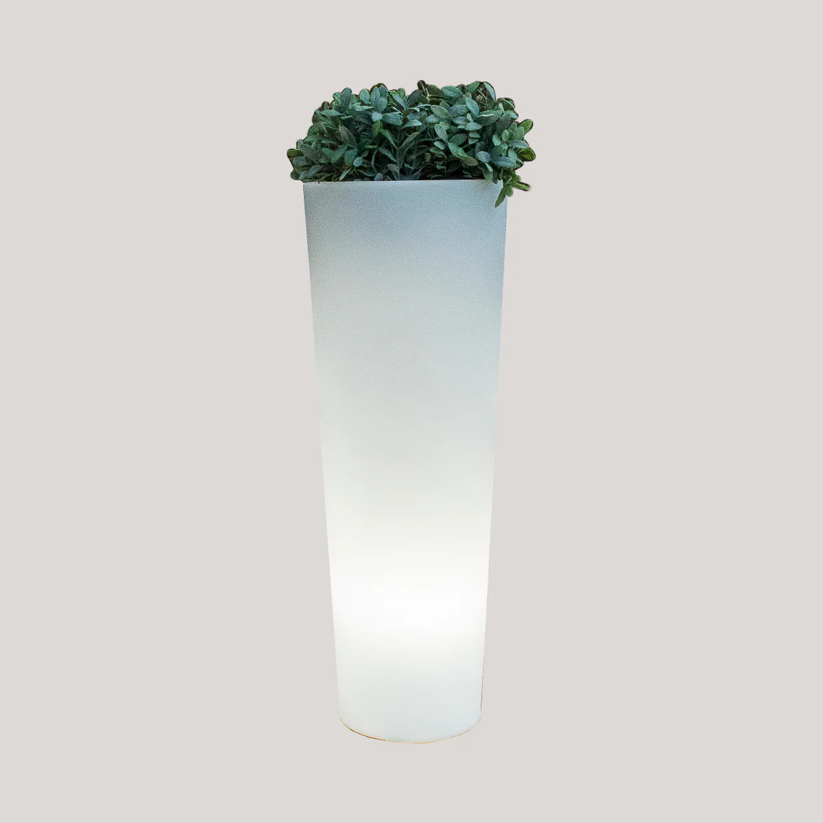 POT DE FLEURS HAUT FICUS 80 AVEC LUMIÈRE - Image 2