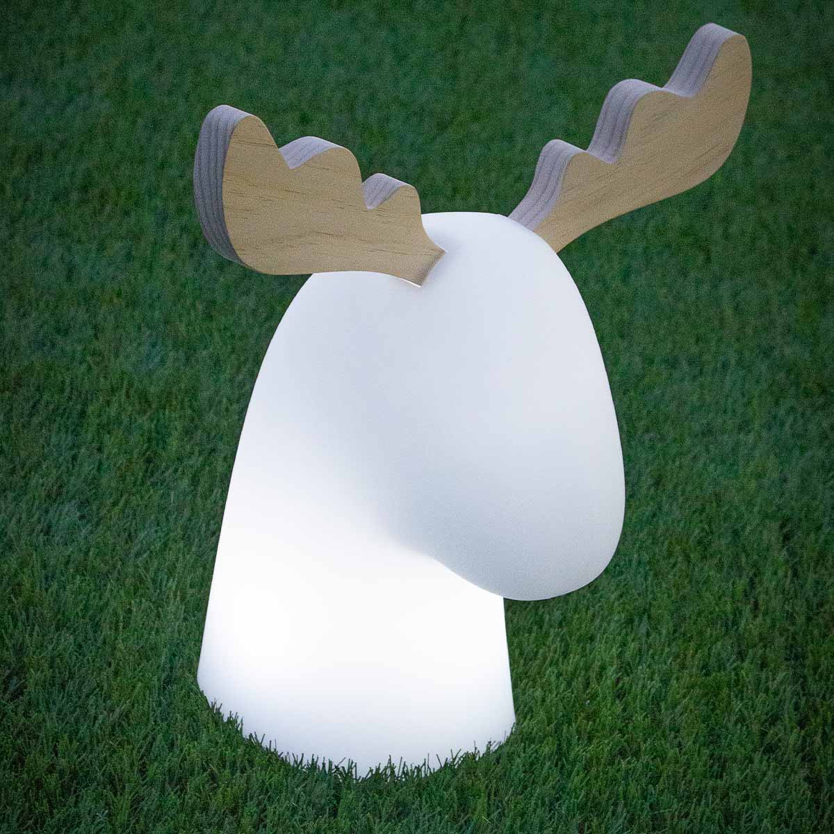 LAMPE RUDY - Image 4